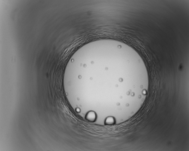 X0000116260043200911301003