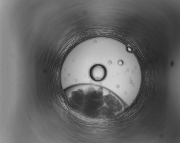 X0000116260044200911301003