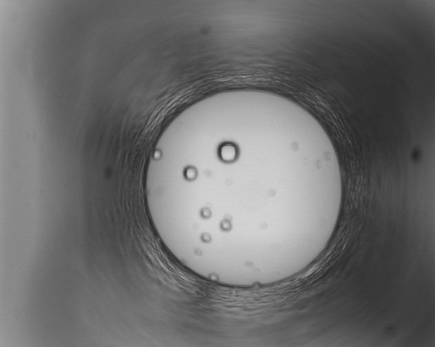 X0000116260045200911301003