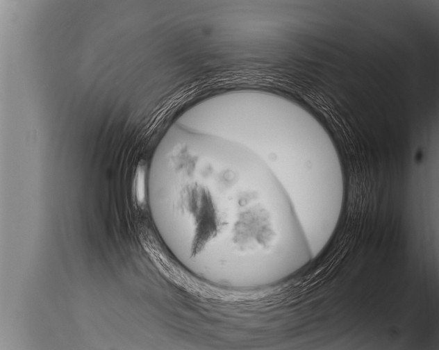 X0000116260046200911301003