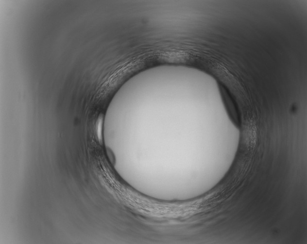 X0000116260047200911301003