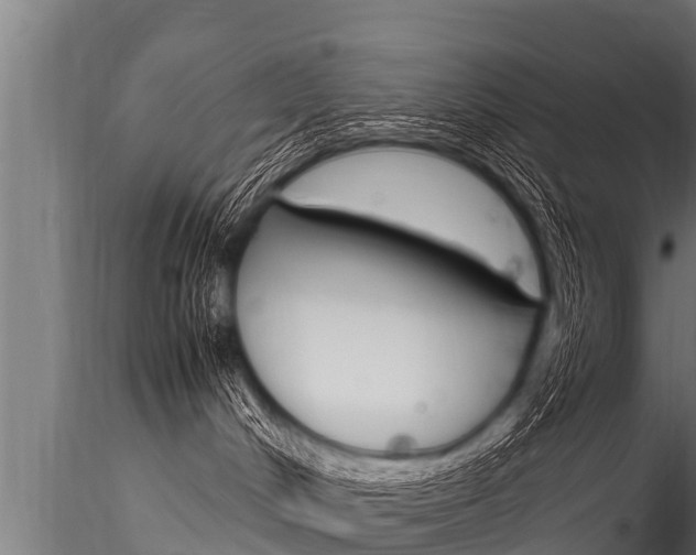 X0000116260048200911301003