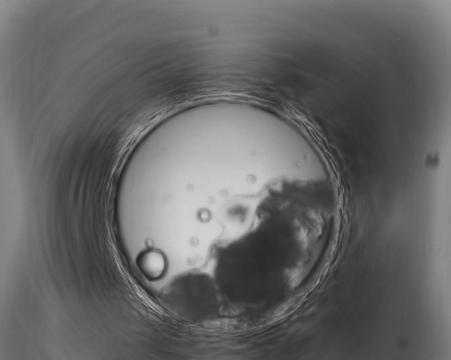 X0000116260049200911301002