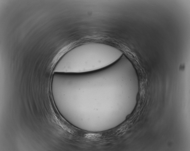 X0000116260051200911301002