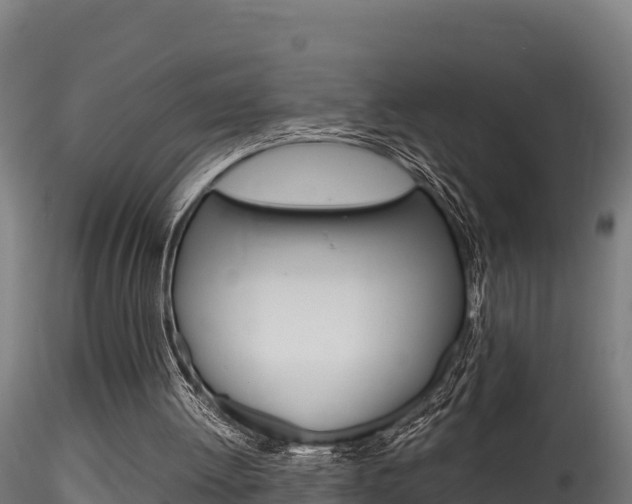 X0000116260052200911301002