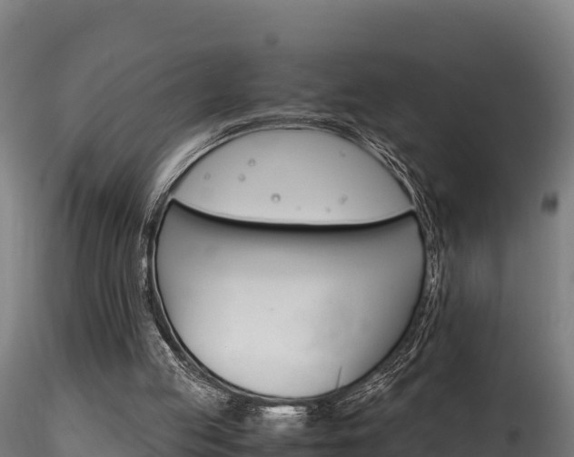 X0000116260053200911301002