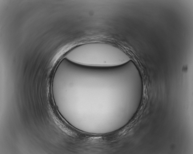 X0000116260054200911301002