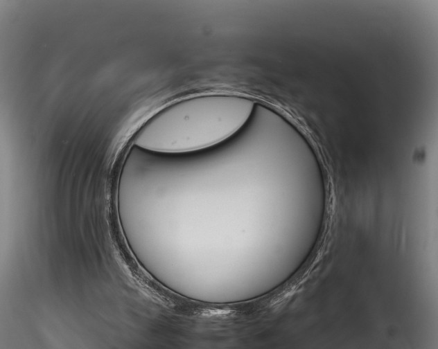 X0000116260055200911301002