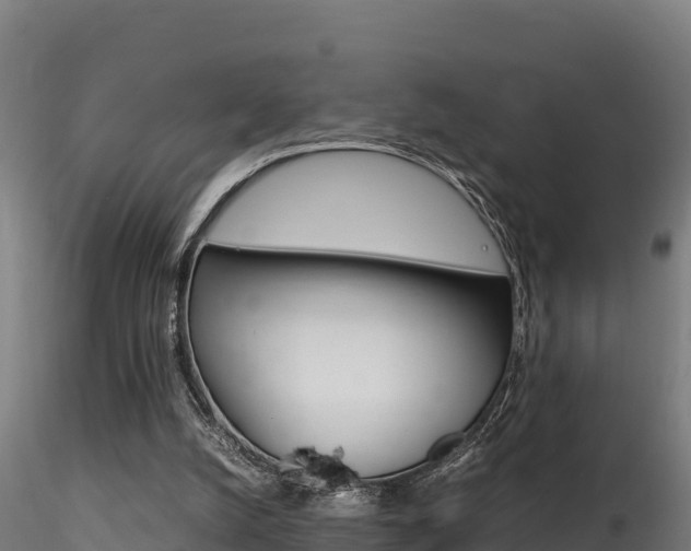 X0000116260056200911301002