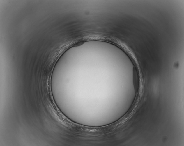 X0000116260057200911301002