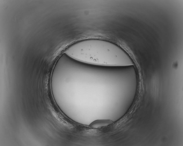 X0000116260058200911301002
