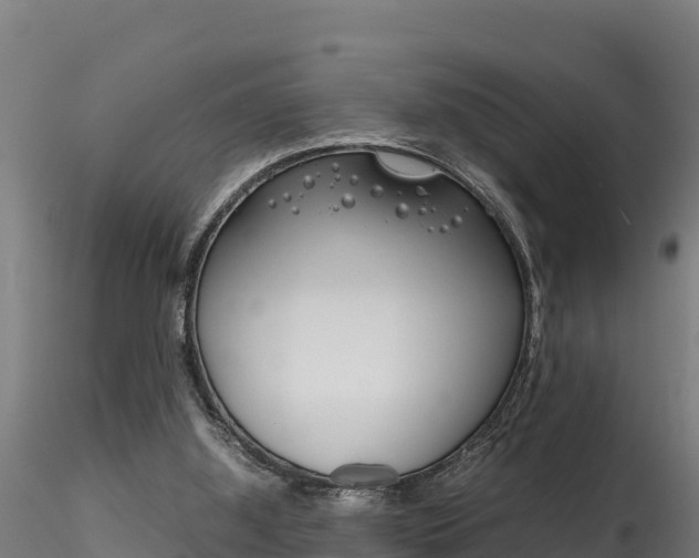 X0000116260060200911301002