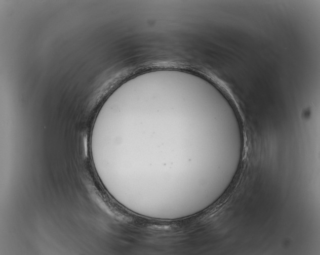 X0000116260061200911301002