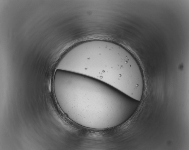 X0000116260062200911301002