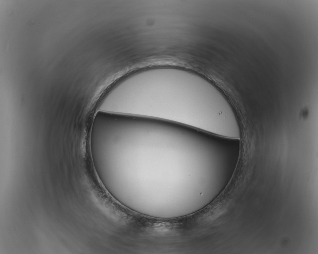 X0000116260064200911301002