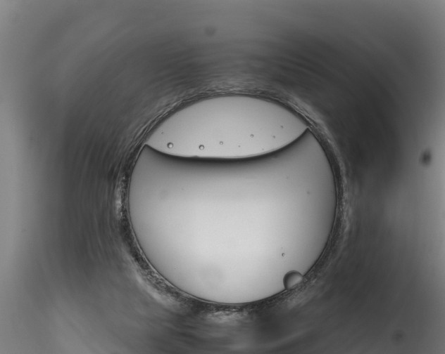 X0000116260065200911301002