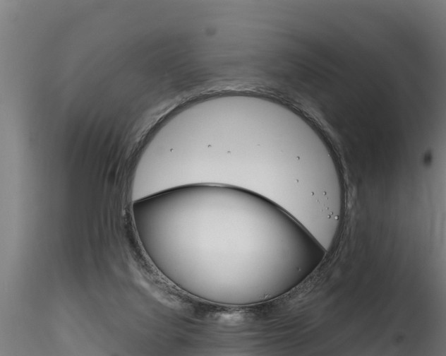 X0000116260068200911301002