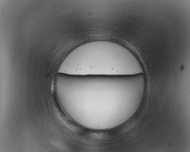 X0000116260069200911301003