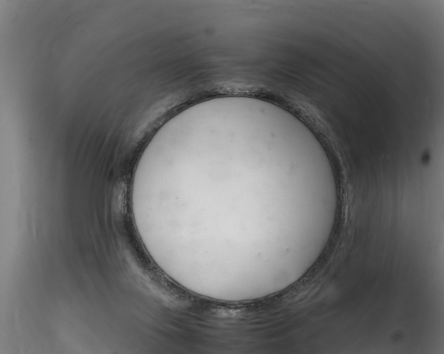 X0000116260071200911301003