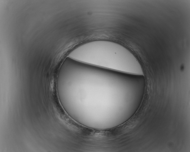 X0000116260072200911301003