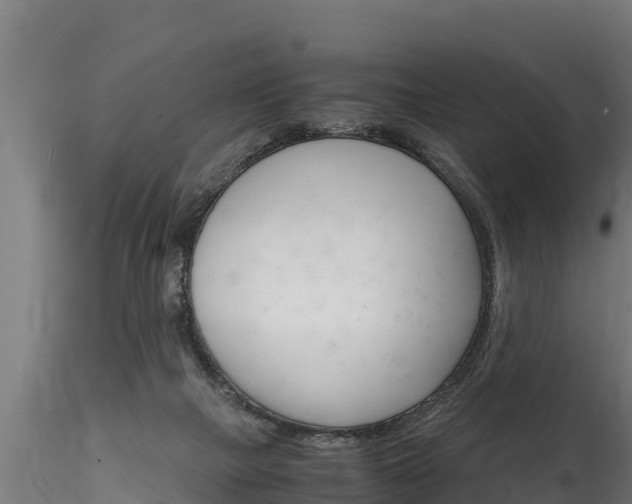 X0000116260073200911301003