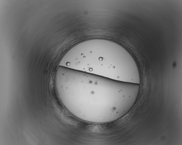 X0000116260074200911301003