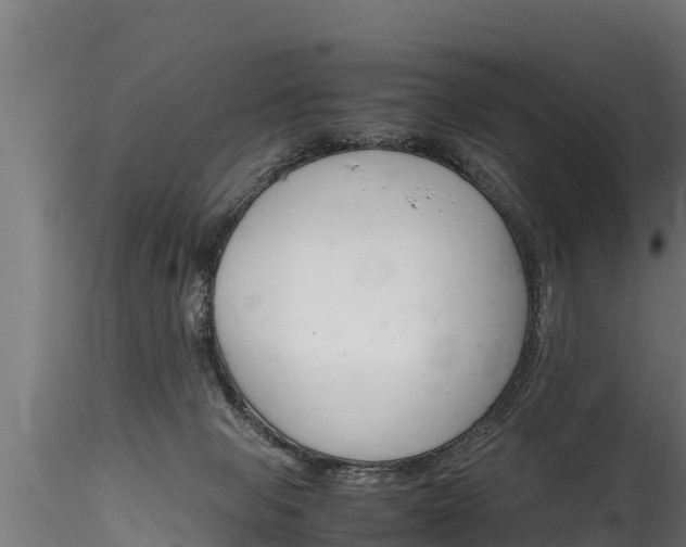 X0000116260077200911301003