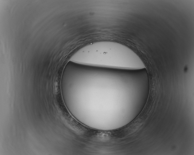 X0000116260080200911301003