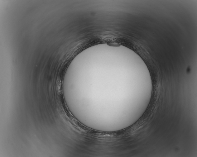 X0000116260081200911301003