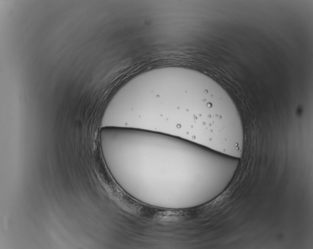 X0000116260082200911301003