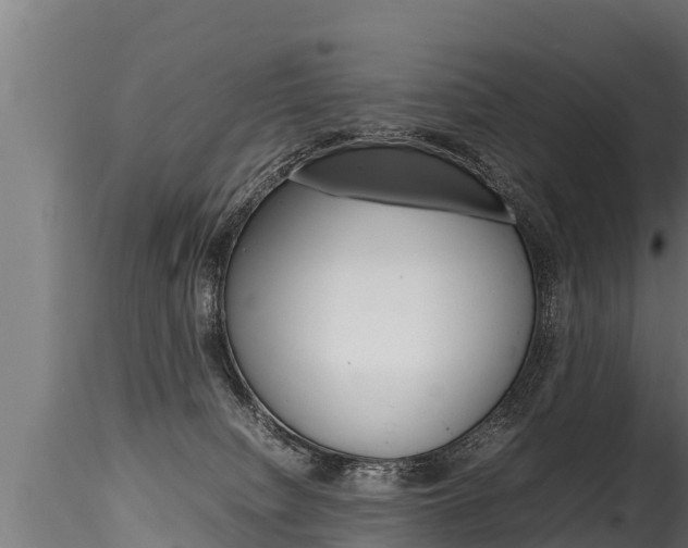 X0000116260084200911301003