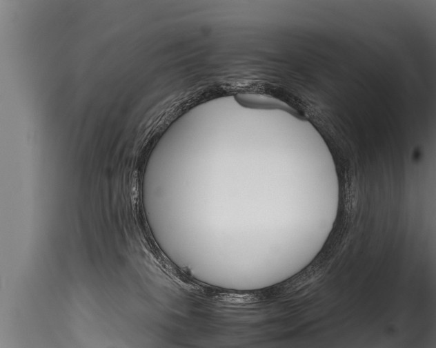 X0000116260085200911301003