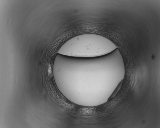 X0000116260089200911301003
