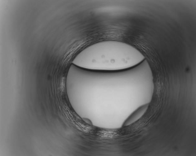 X0000116260093200911301003