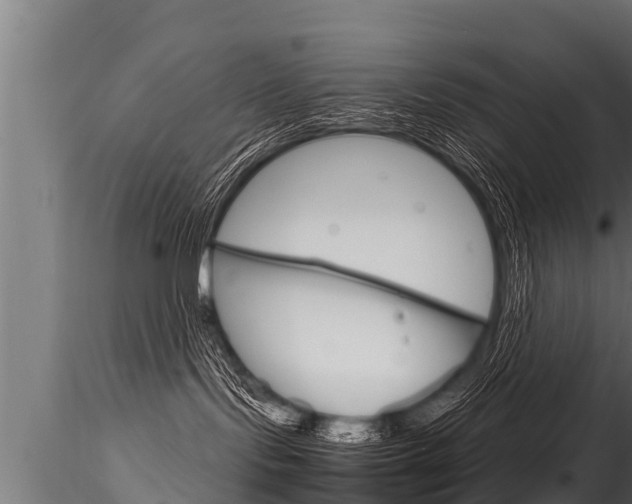 X0000116260095200911301003