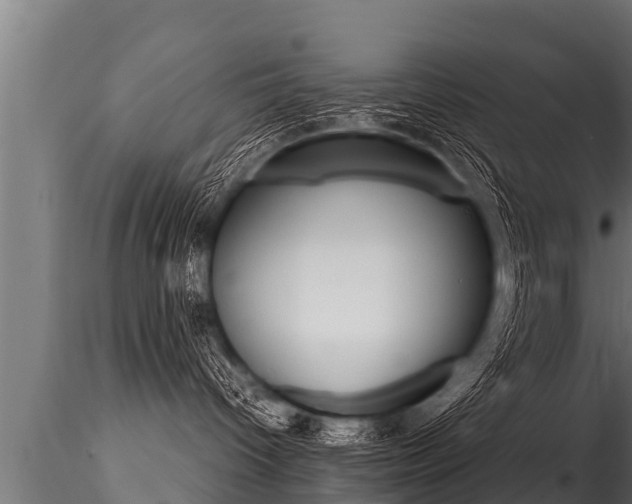 X0000116260096200911301003