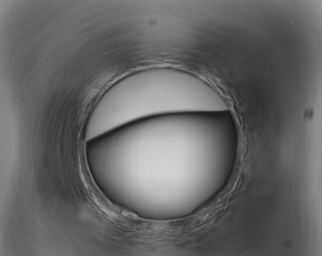 X0000116260097200911301002