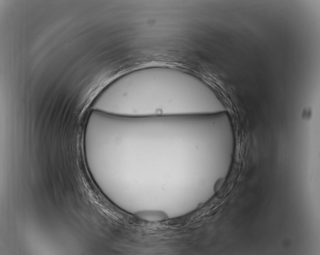 X0000116260098200911301002