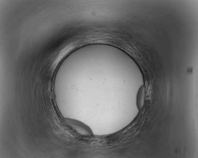 X0000116260099200911301002