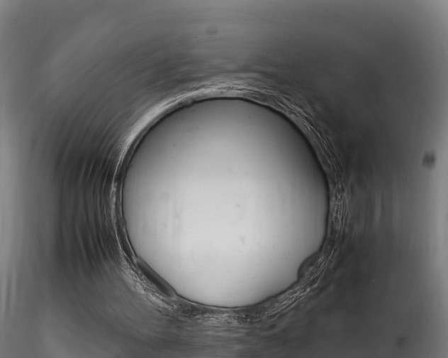 X0000116260100200911301002