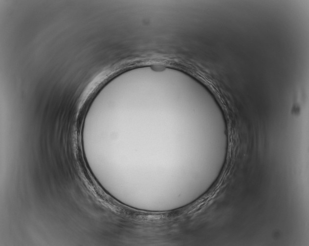 X0000116260102200911301002