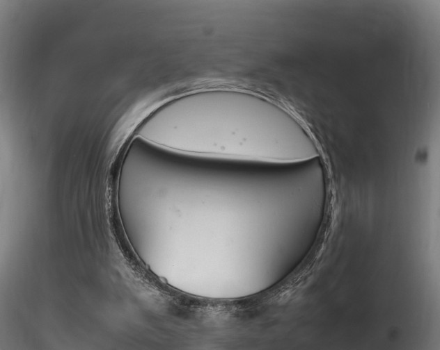 X0000116260103200911301002