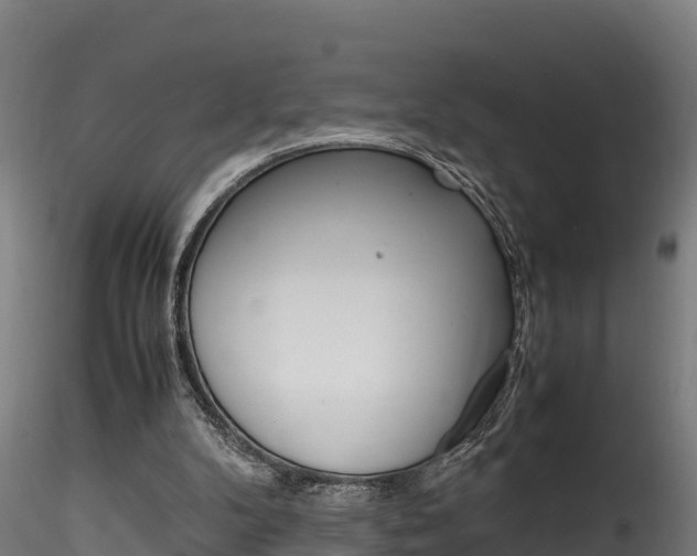 X0000116260104200911301002