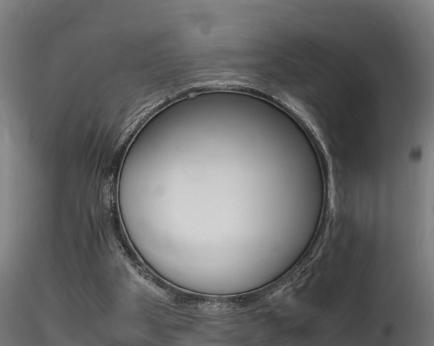 X0000116260105200911301002