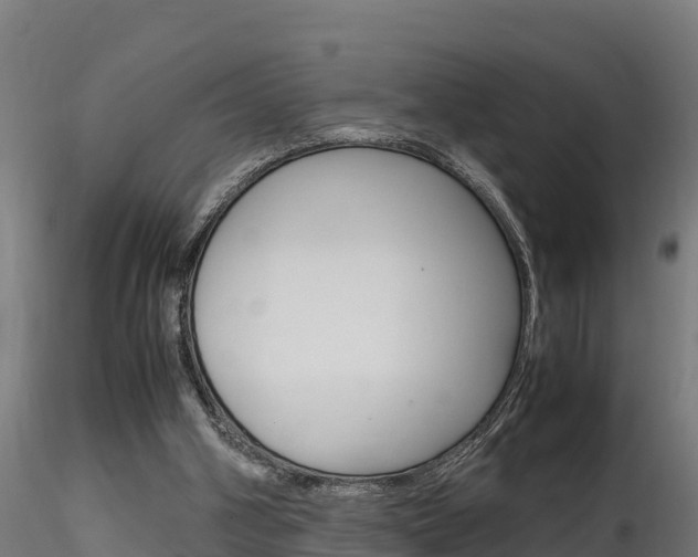 X0000116260106200911301002