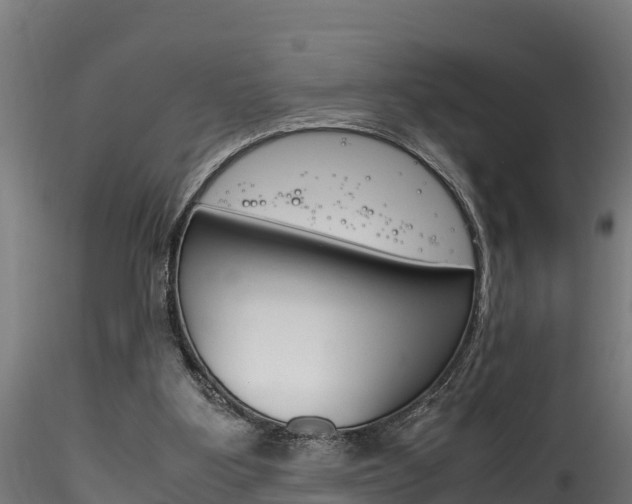 X0000116260107200911301002