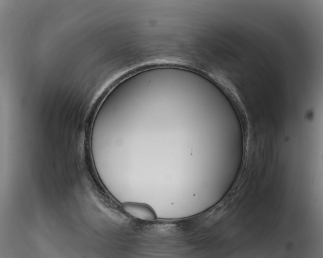 X0000116260108200911301002