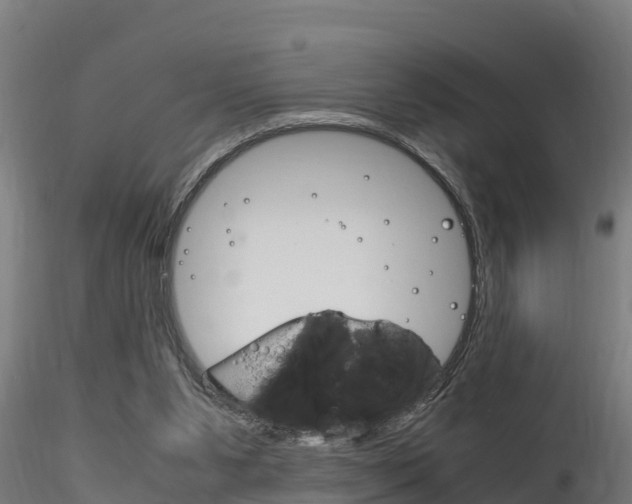 X0000116260111200911301002