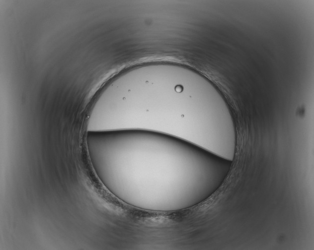X0000116260112200911301002