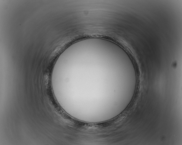 X0000116260113200911301002
